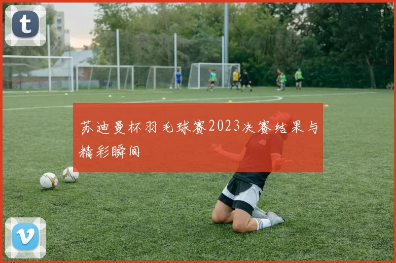 苏迪曼杯羽毛球赛2023决赛结果与精彩瞬间